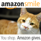 Amazon Smile logo with cat