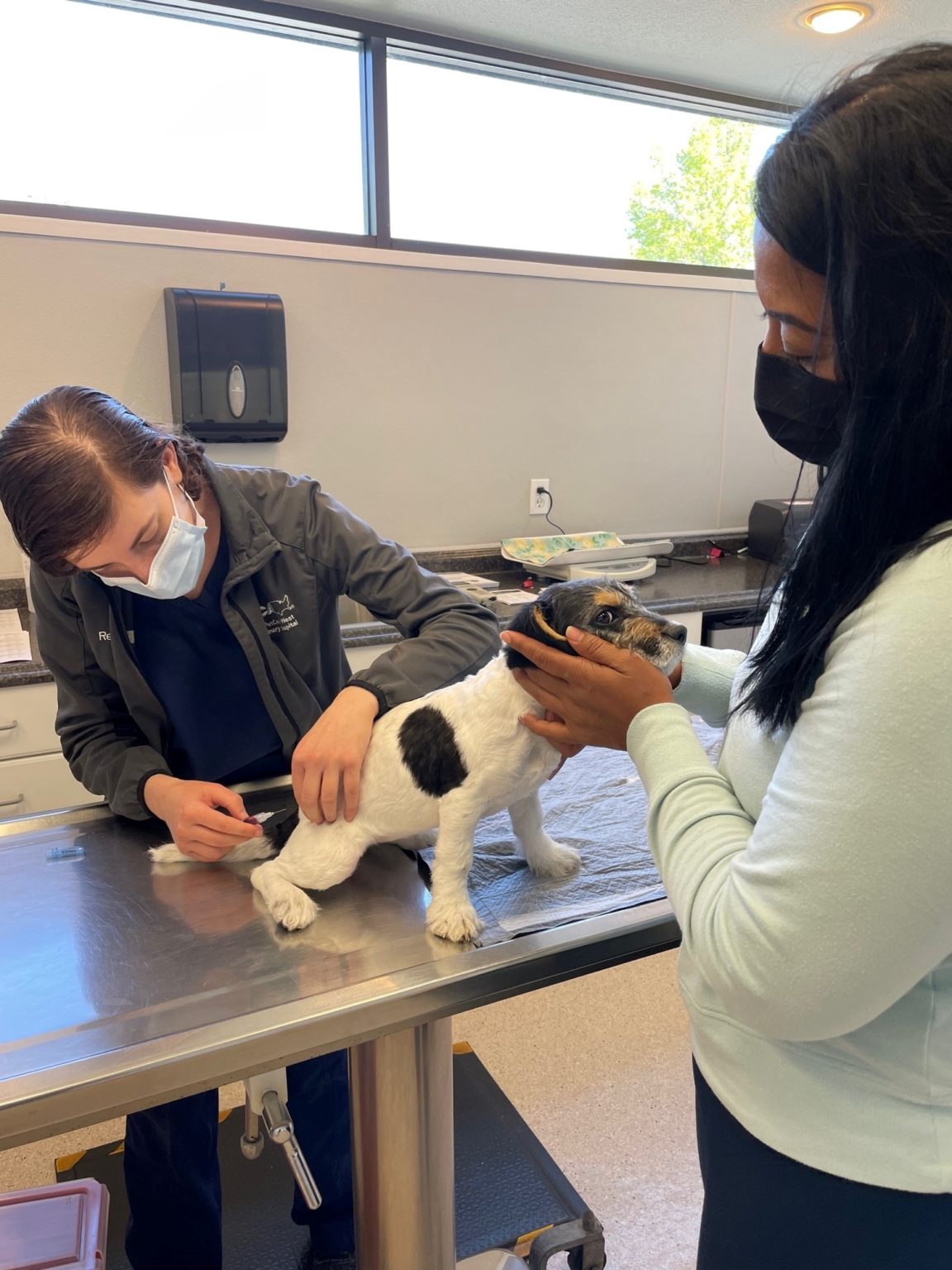 Napa Humane Partners with Petco Love to “Give Pets Their Best Shot