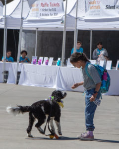 girl and dog