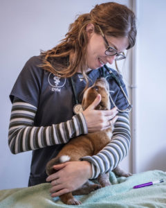 Vet with puppy