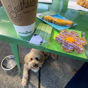 Dog laying under picnic table with dog treats