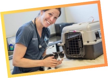 Veterinarian holding kitten at Napa Humane's Spay/Neuter Clinic.