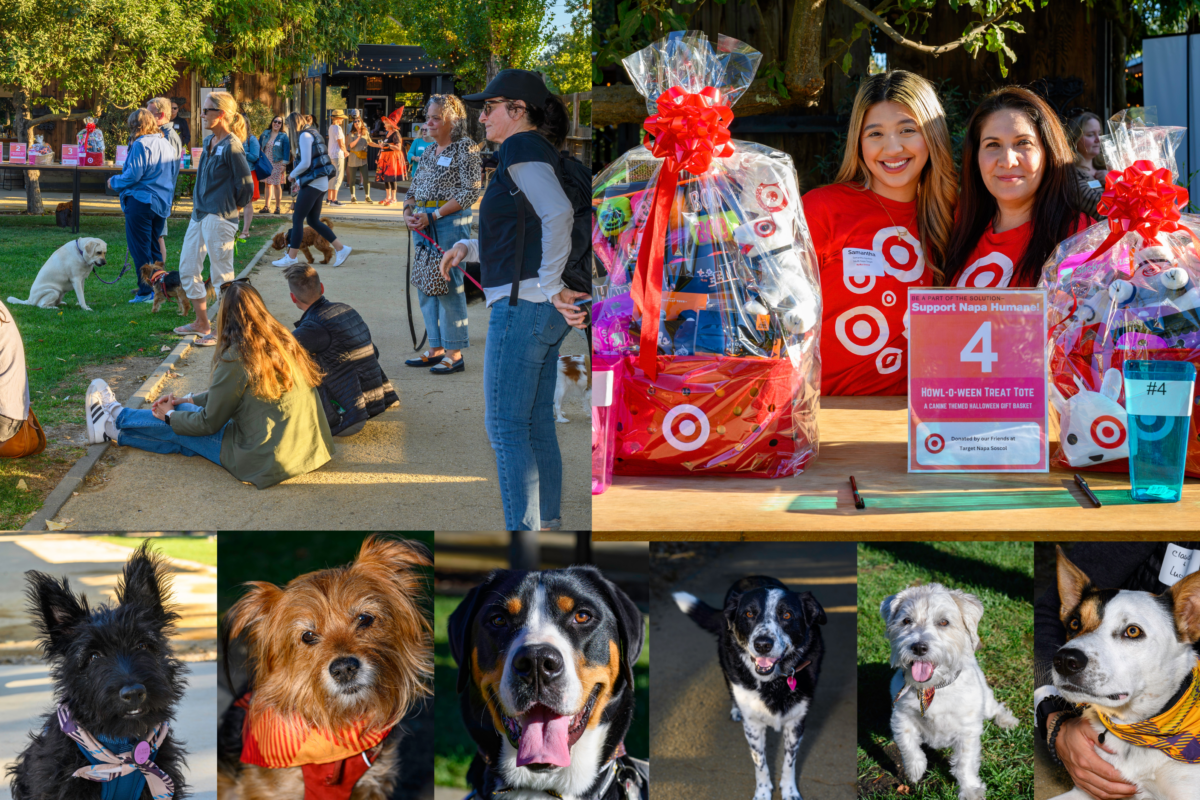 Napa Humane October Mixer