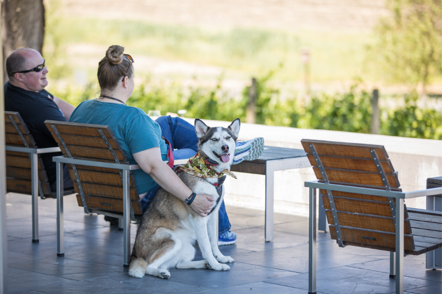 Unlock over $1,400 in savings with Pawsport Napa Valley! Enjoy exclusive discounts on wine tastings, pet-friendly accommodations, dining, and more—all while supporting Napa Humane's programs for pets in need. Get yours today!