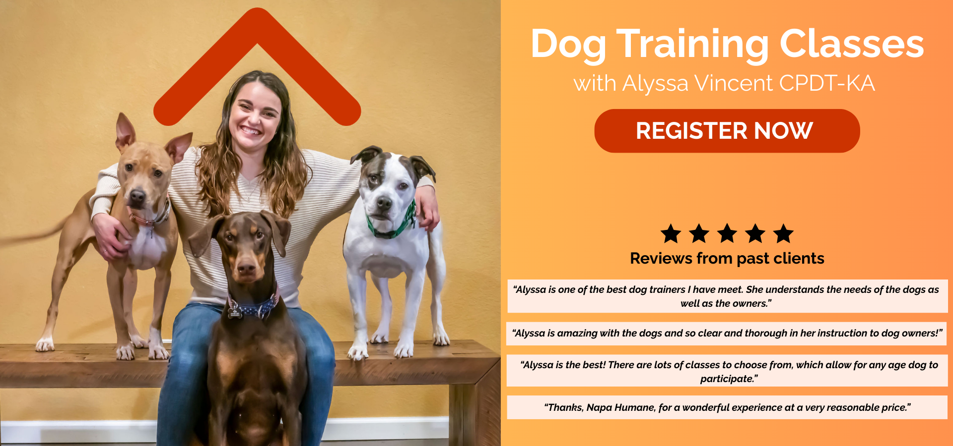 Alyssa Vincent, CPDT-KA, sits with three dogs in front of a yellow wall, promoting Napa Humane’s dog training classes.