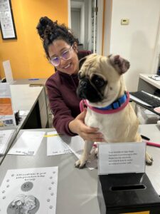 Meet the people of Napa Humane
