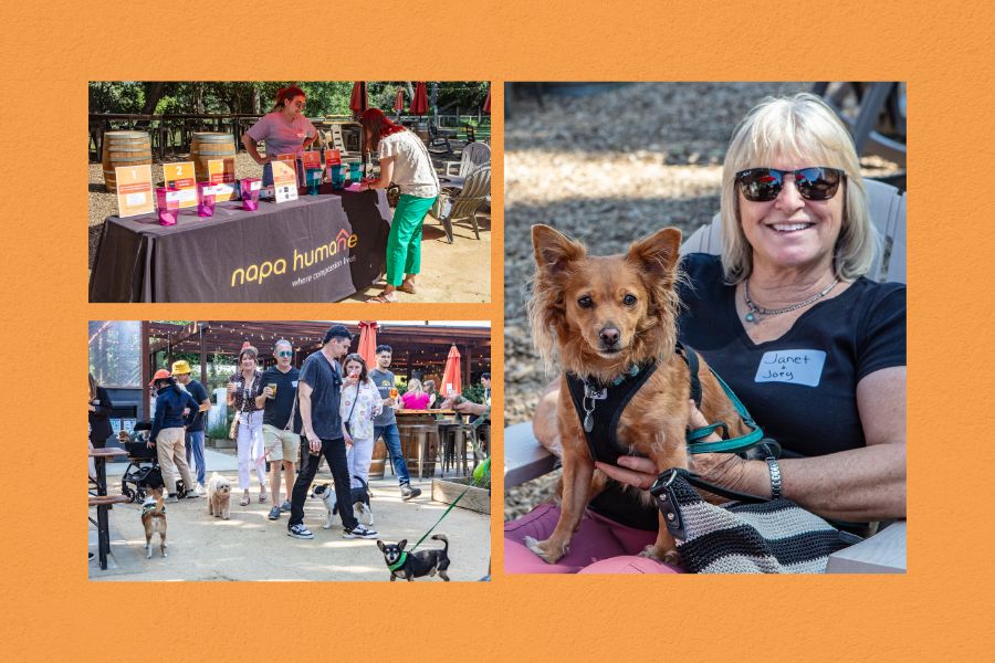 Napa Humane Community Mixer Highlights