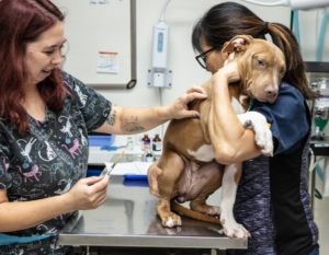 Preventive Care Clinic and Vaccine Clinics